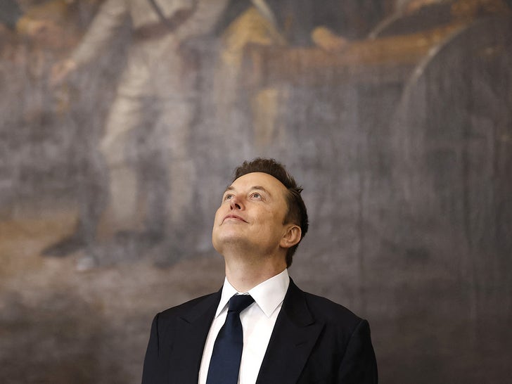 0120-elon-musk-inauguration-looking-up-photos-primary-2