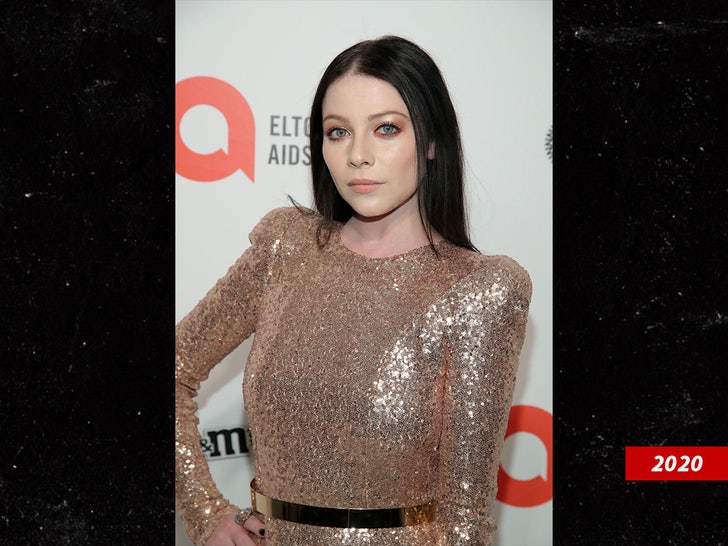 Michelle Trachtenberg sub getty swipe