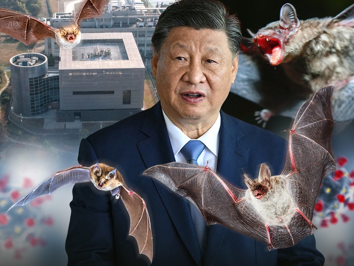 China Issues Bats*** Theory on COVID-19, Virus Originated In U.S.