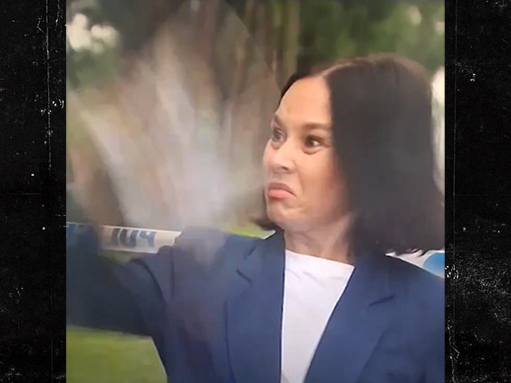 072425-reporter-wasp-v3