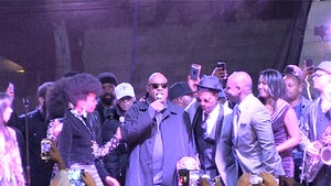 Stevie Wonder -- Rocks L.A. City Hall with 'Purple Rain'