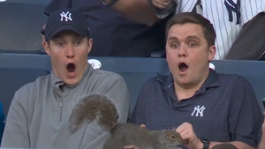 Squirrel Terrifies Yankees Fans With Jaunt Around Outfield During Game