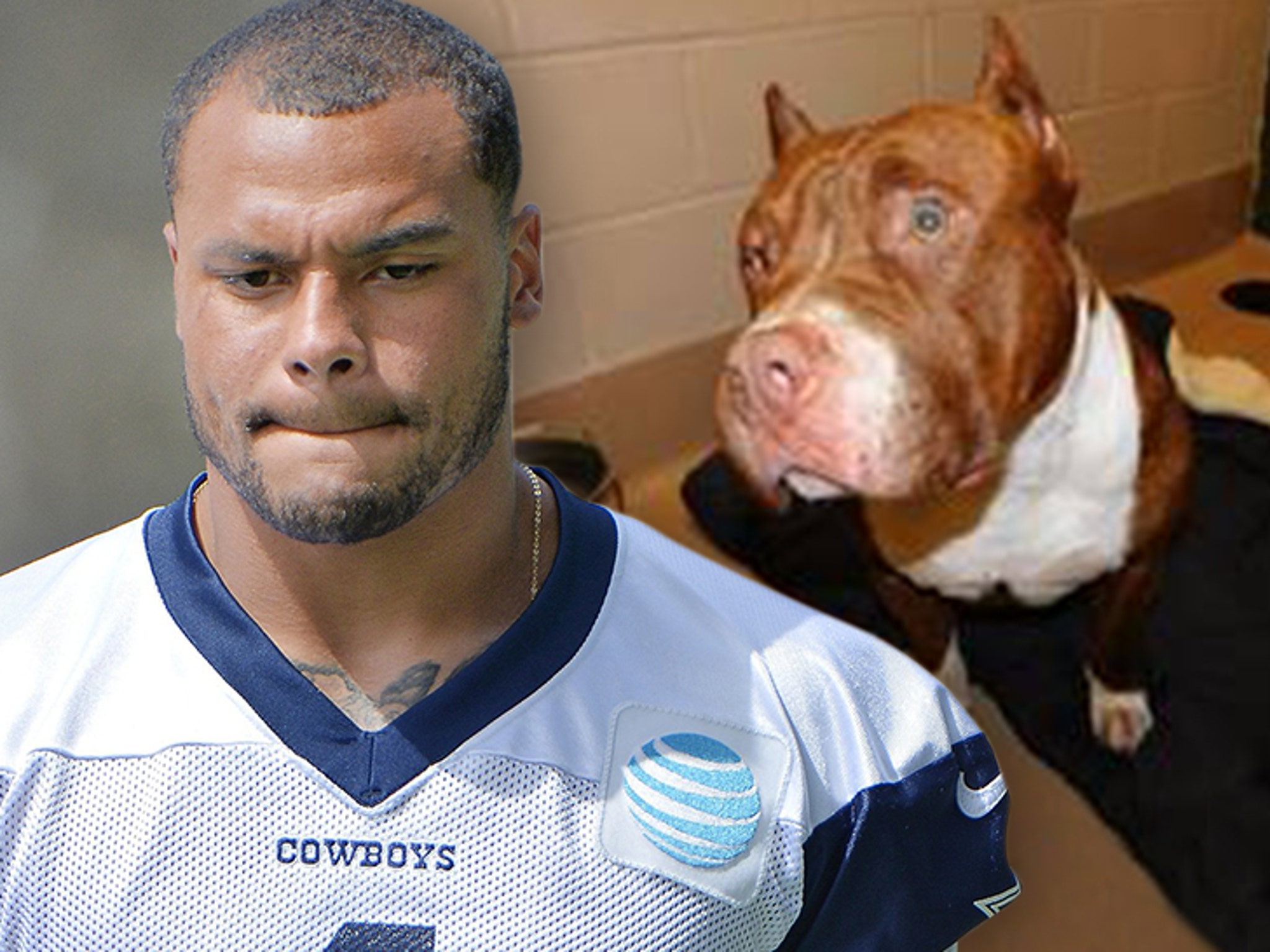 Dak Prescott Warned Of Dangerous Dogs Twice Before Violent Attack