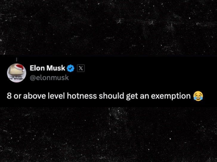 elon musk tweet x