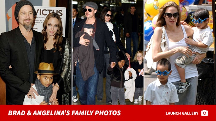 Brad and Angelina's Family Photos
