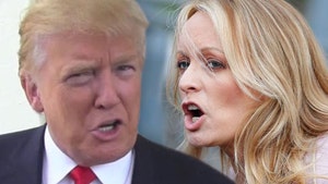 New Details of Trump Pulling the Strings in Stormy Daniels Hush Money Agreement
