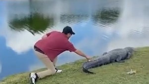 Golfer Risks Life to Grab Golf Ball Off Live Gator, 'It's Gonna Whip You!'