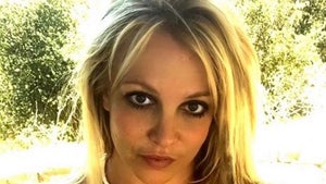 Britney Spears Will Not Have Final Say in Conservatorship Hearing