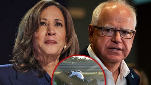 kamala harris and tim walz