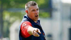mike vrabel getty 3