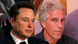 elon musk jeffrey epstein main getty