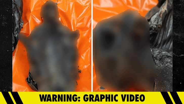 122225_nonhuman_meat_airport_kal_v3