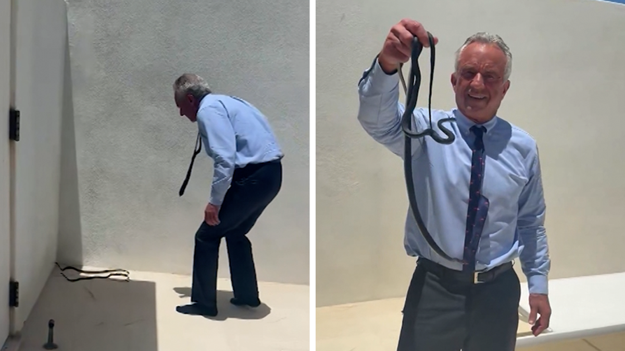 RFK Jr. Double-Fists Snakes Having Sex