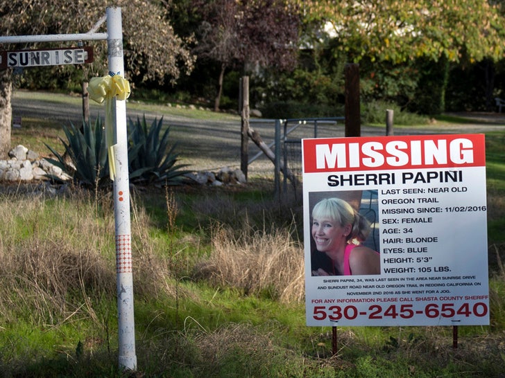 Sherri Papini missing sign