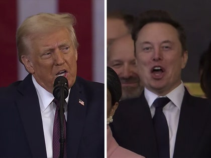 Donald Trump, Elon Musk