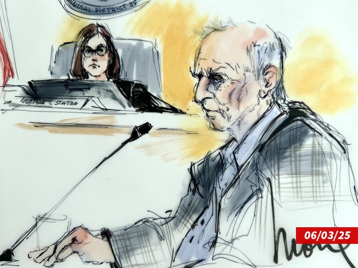Tom Girardi Court Sketch Backgrid