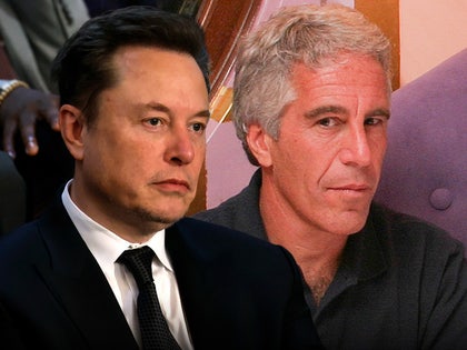 elon musk jeffrey epstein main getty