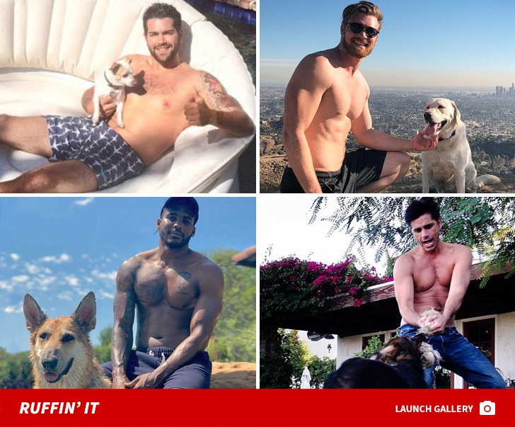 Shirtless Stars With Dogs