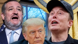 ted-cruz-donald-trump-elon-musk-getty-1