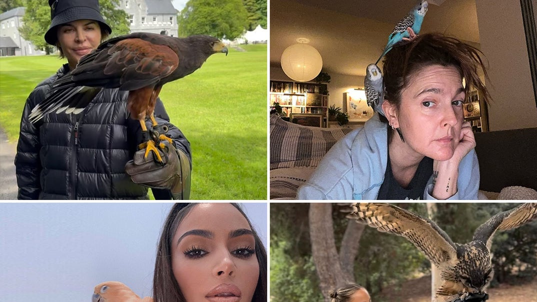 1230-Celebrities-With-Birds-PRIMARY