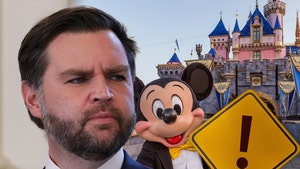 jd vance danger disneyland main getty