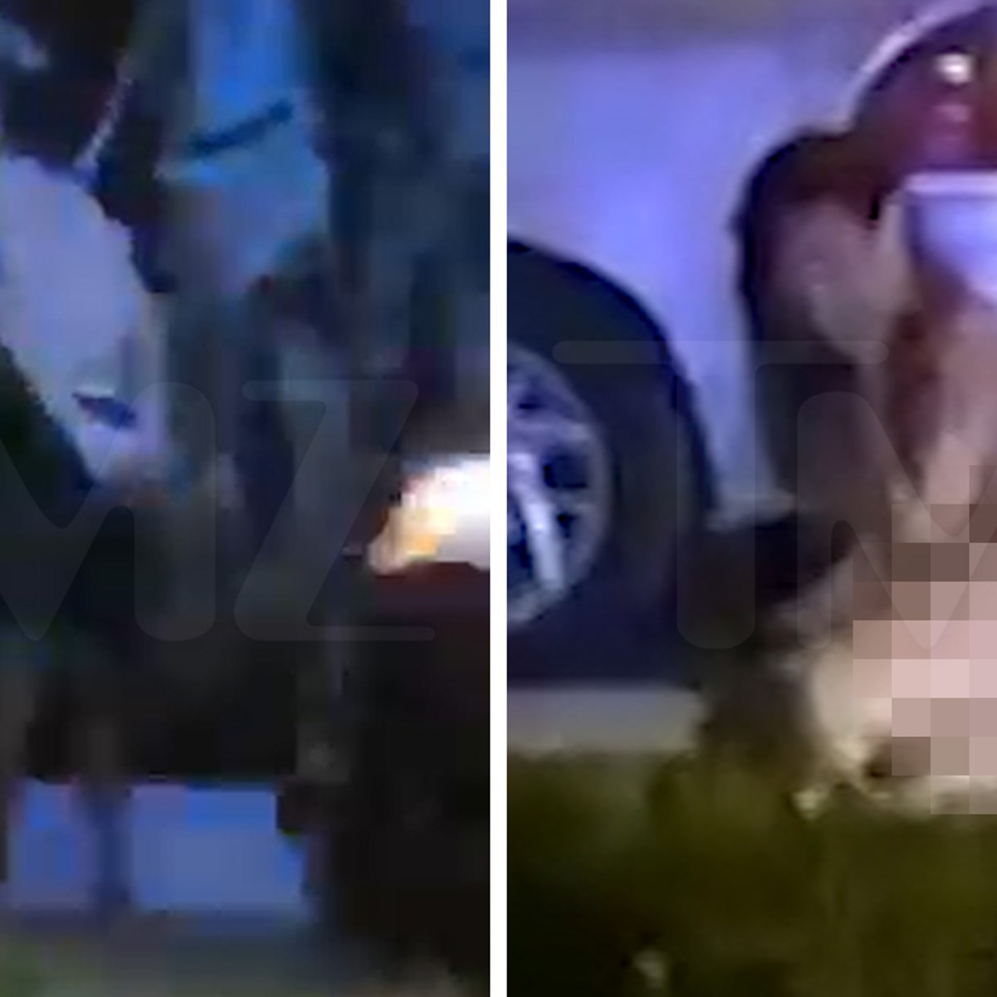 Megan thee stallion leaked sextape