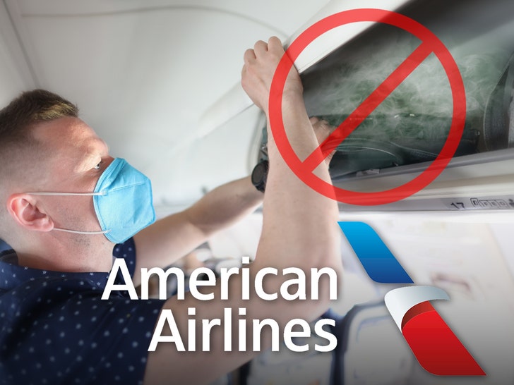 american airlines fun art tmz getty 