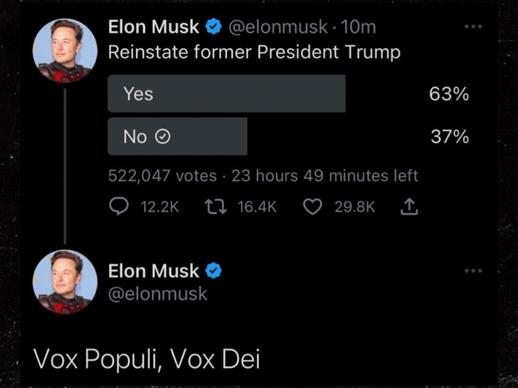 a21a7addeb36462a8e8c08b153dc9197_md Elon Musk Asks Twitter Users To Vote On Bringing Back Donald Trump's Account