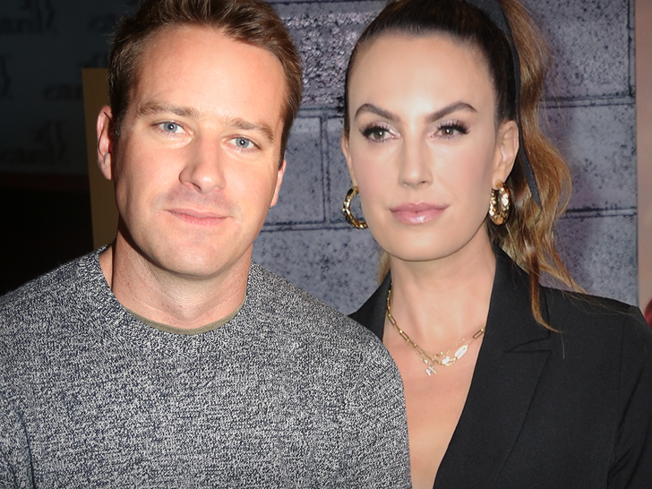 Elizabeth chambers and armie hammer