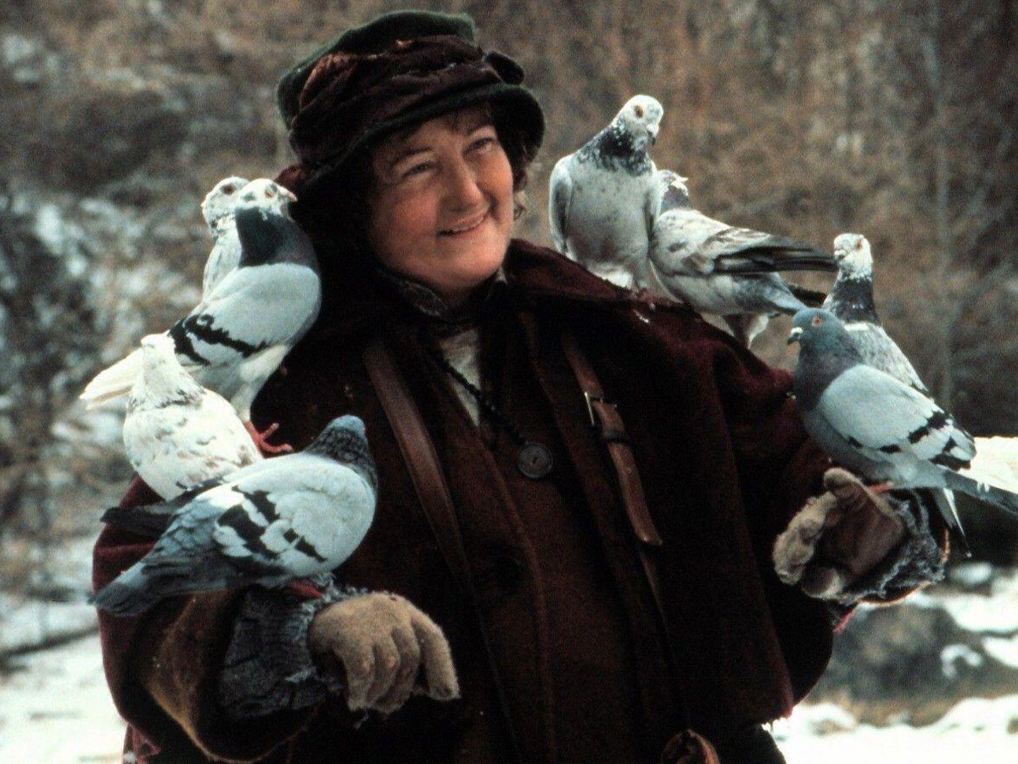 Picture of Pigeon Lady