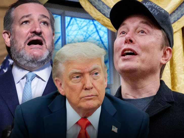 Ted Cruz Says He Was With Donald Trump During Elon Musk X Attack