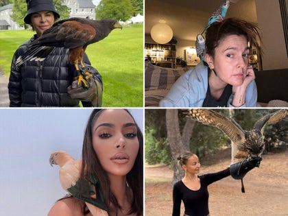 1230-Celebrities-With-Birds-PRIMARY