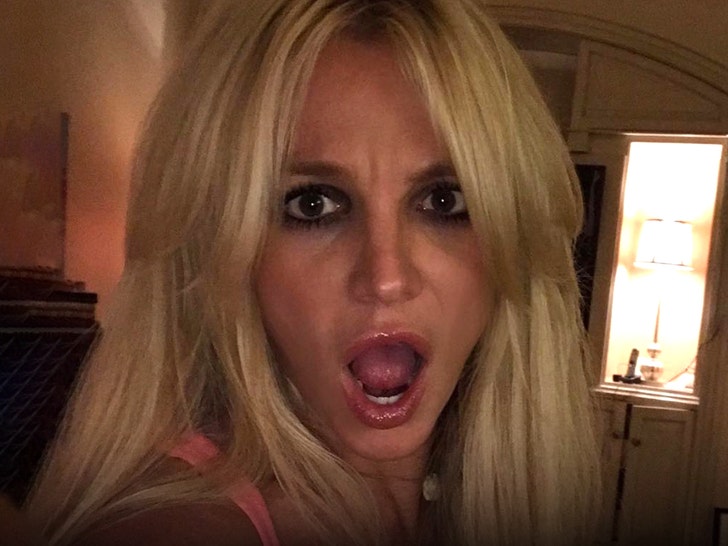Britney Spears Achieves Major Legal Victory Against Accused Stalker