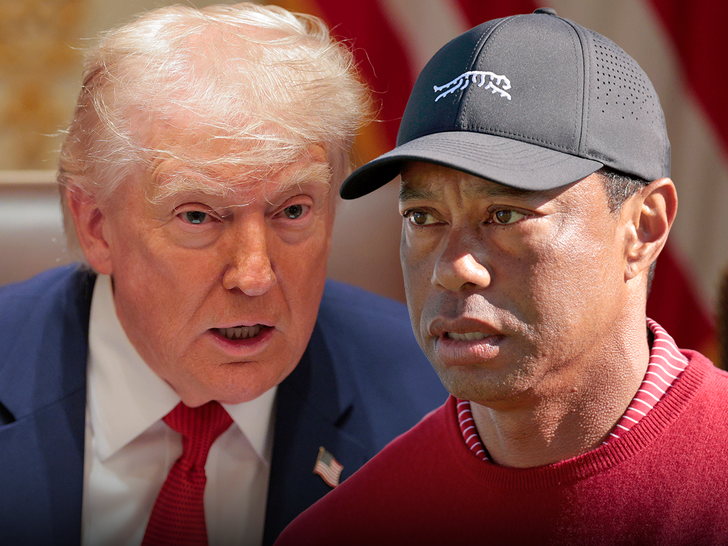 donald trump tiger woods main getty