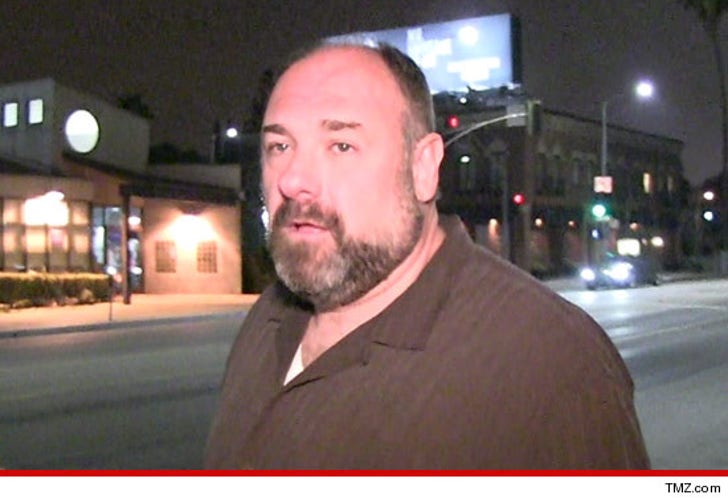 James Gandolfini's Family Blindsided -- Never Suspected Health Issues :: 0619-james-gandolfini-article-tmz-3