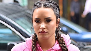 Demi Lovato's Alleged Dealer Arrested for Guns and Drugs Before Her OD