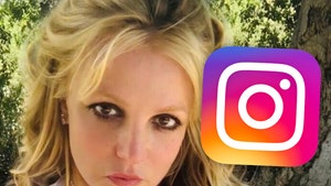 Britney Spears Deletes Instagram, Breaks from Social Media Before Court Hearing