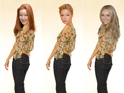 Marcia Cross, Paris Hilton, Hayden Panettiere