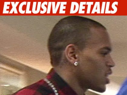 0506_chris_brown_EXD_TMZ_01