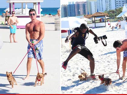 0302-simon-cowell-dog-attack-pcn-01