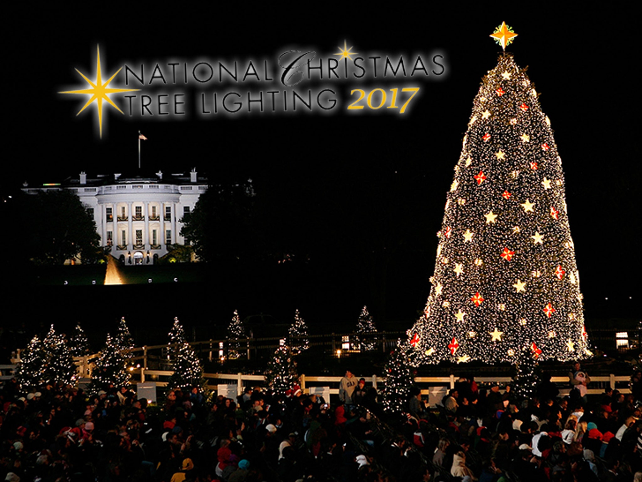 Herndon Va Christmas Tree Lighting 2022 Trump's National Christmas Tree Lighting Cost Goes Up From Obama's