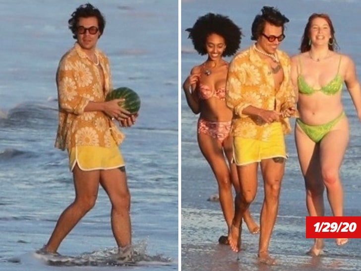Harry Styles -- Melons and Models