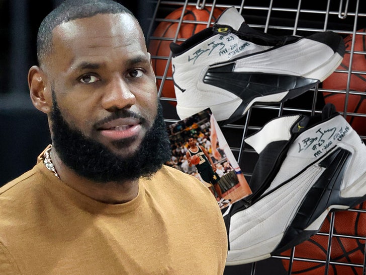 Los Angeles Daily Chronicle lebron james shoes