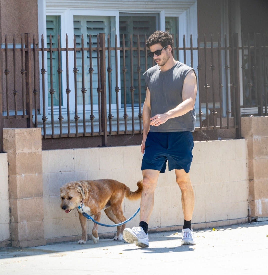 FranCois Arnaud Dog Walk 7