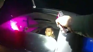 Cop Begs Driver to Cooperate Before Shooting Him