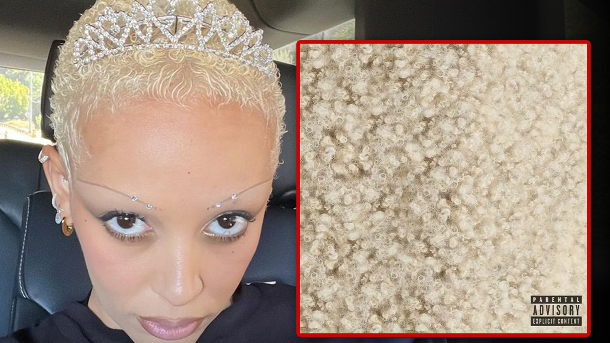Doja Cat Slams Fans for Comparing Her Hair to Pubes