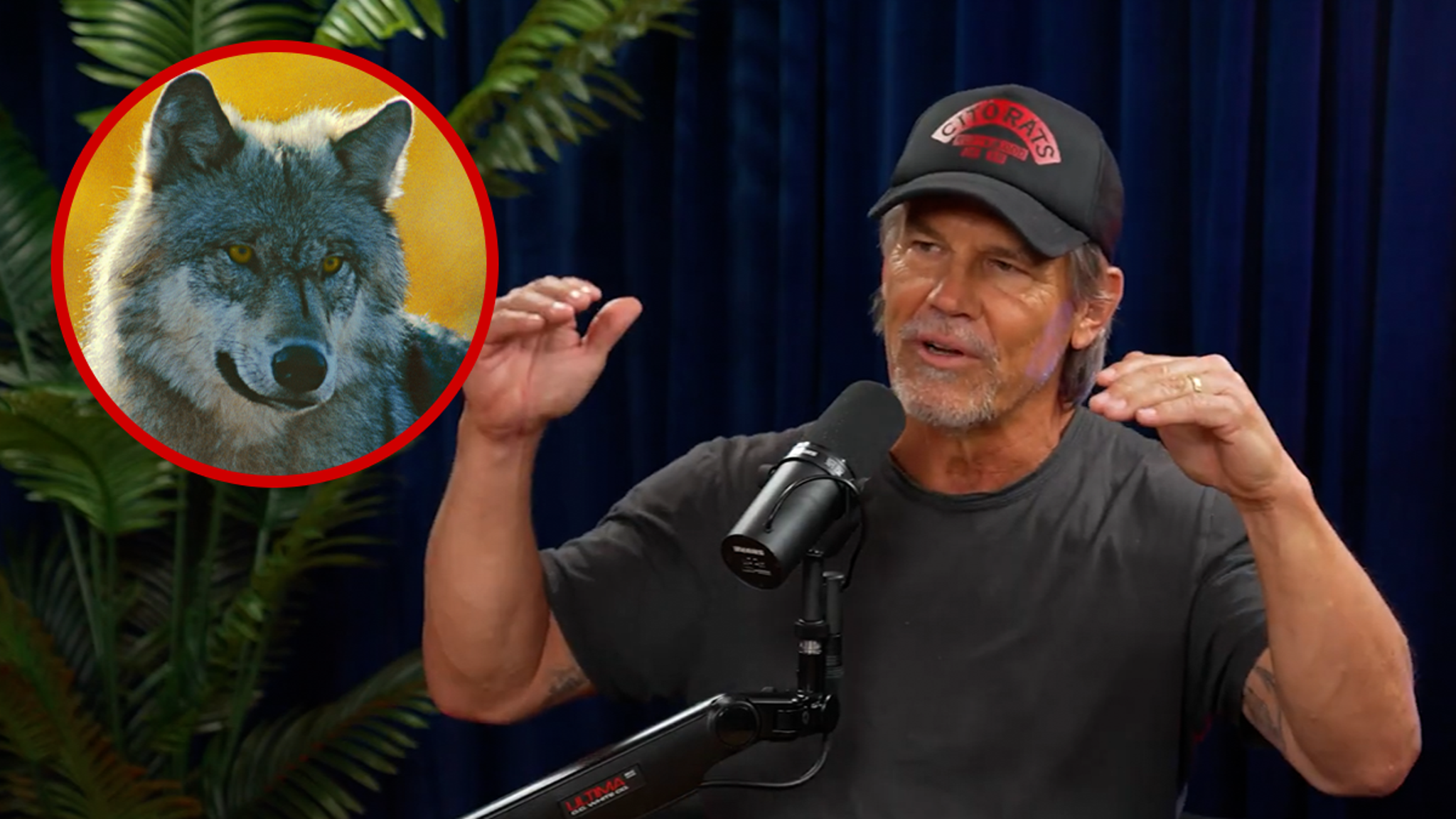 Josh Brolin Says He Grew Up With Wolves and Mountain Lions Living In His Home