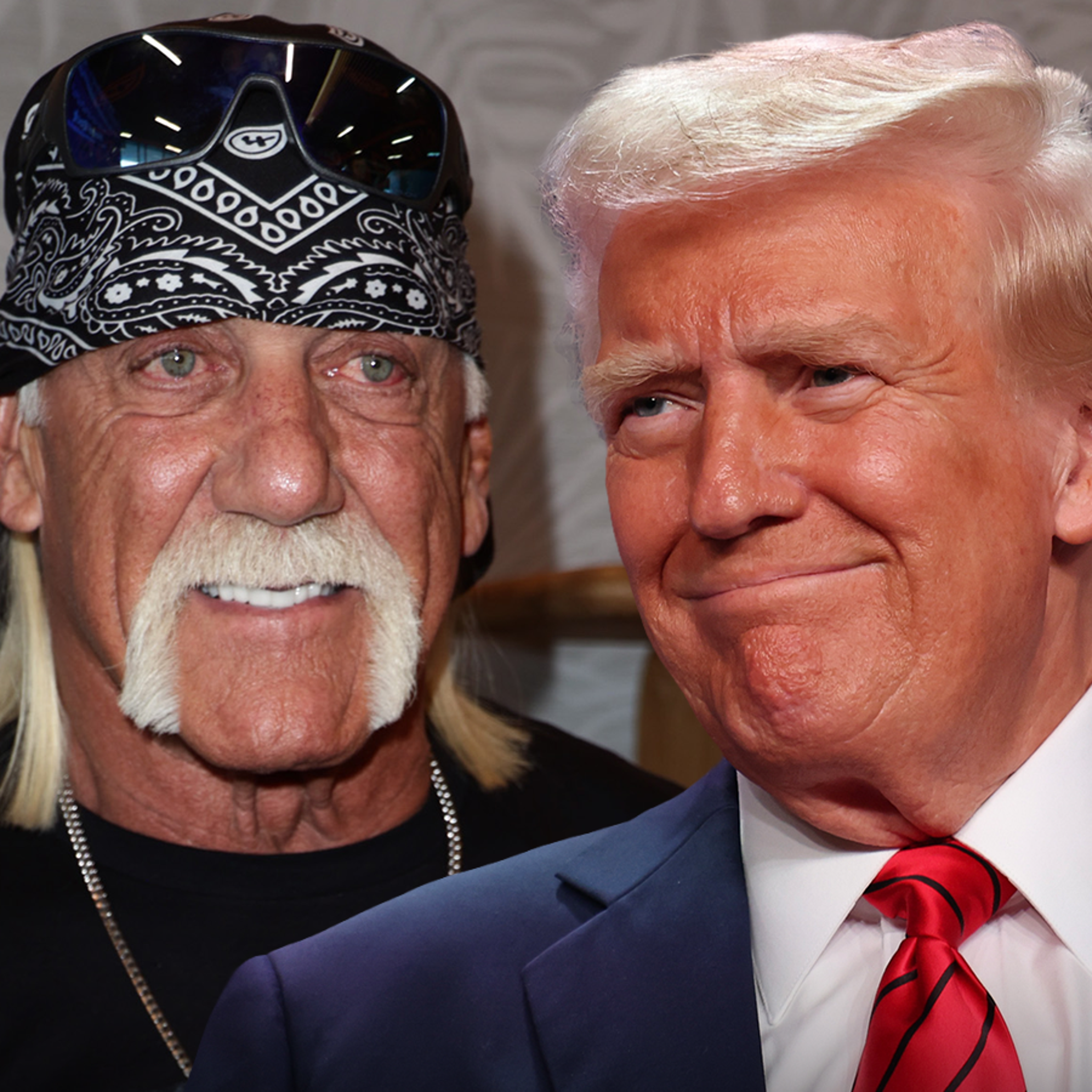 Hulk Hogan Convinced Trump To Sit Down For Netflix Doc Before