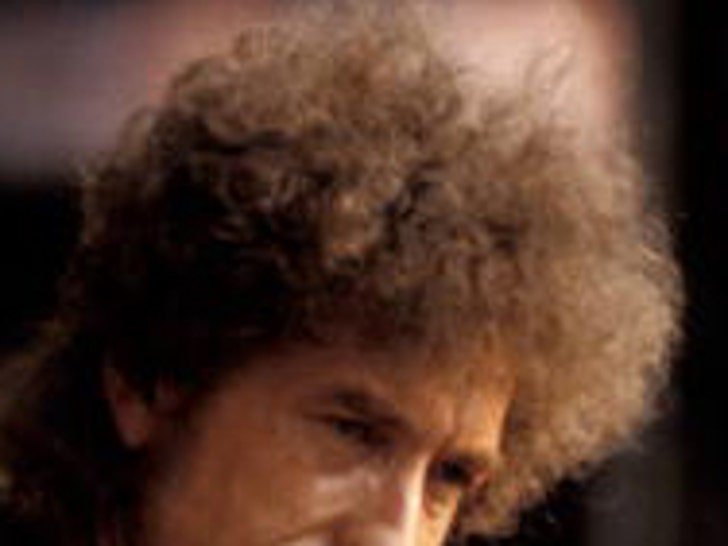 Bob Dylan's Hair