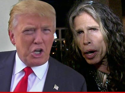 1011-donald-trump-steven-tyler-TMZ-01